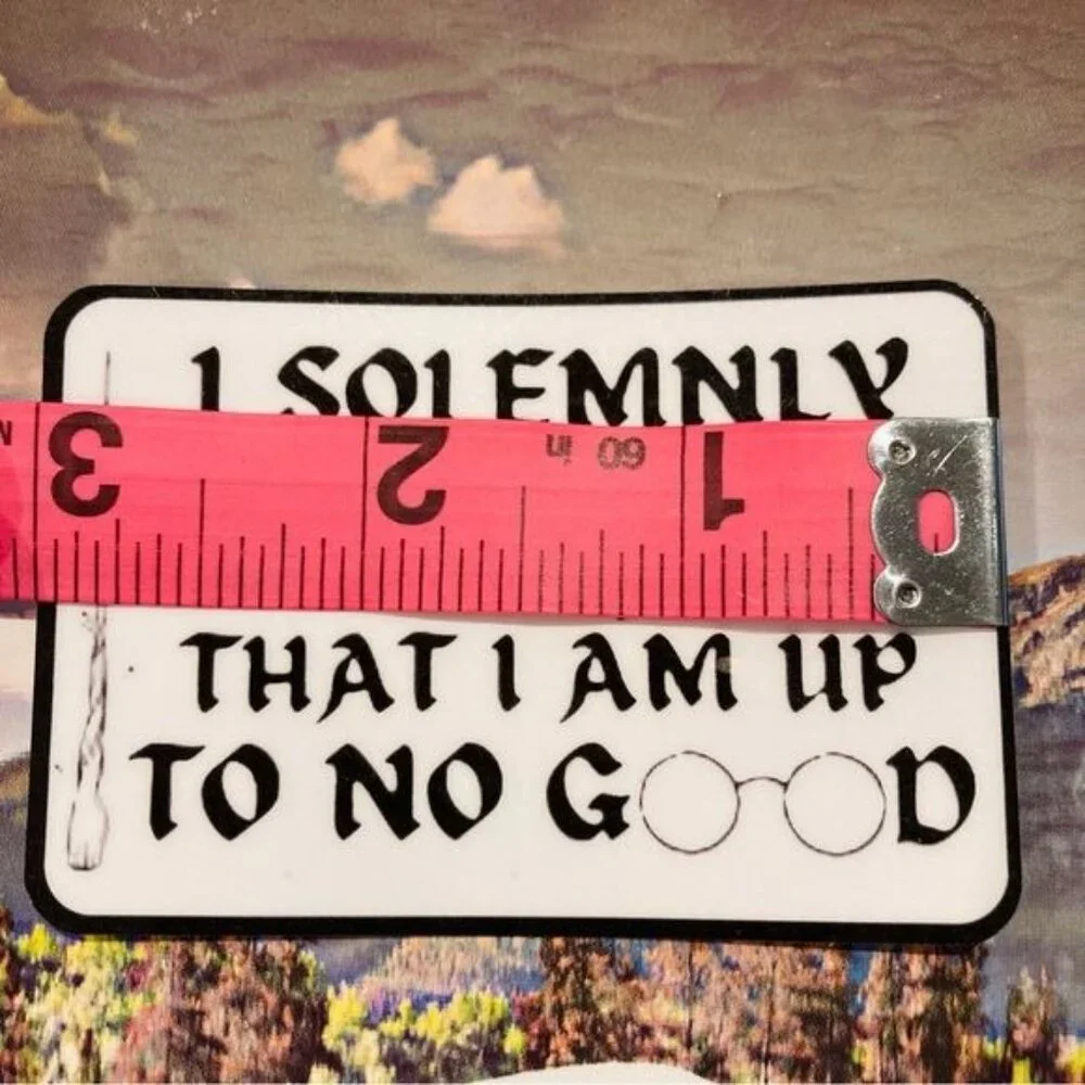 (7/$15) Durable Waterproof Sticker - Quote Sticker - Picture 3 of 3